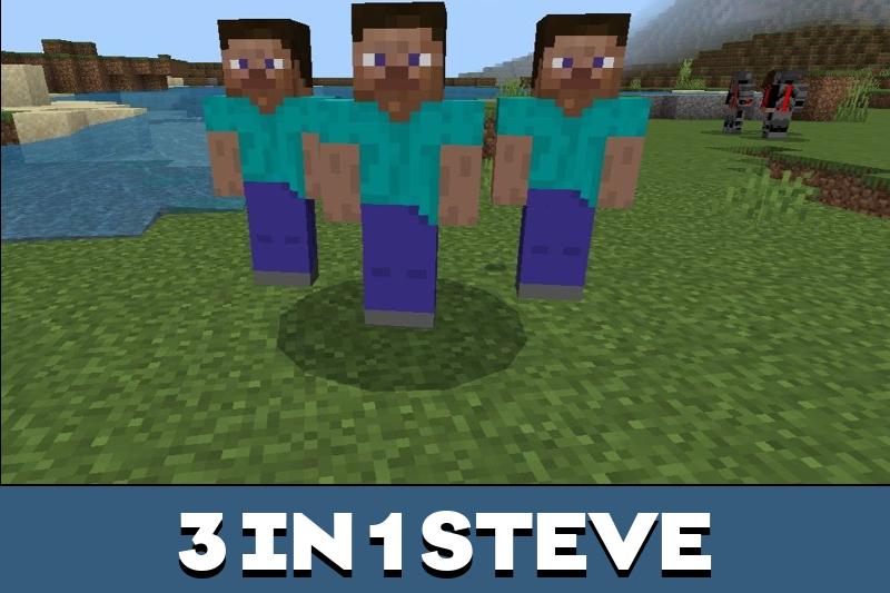 Steve 4