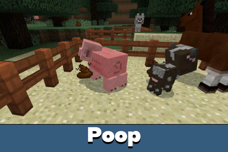 Poop 3