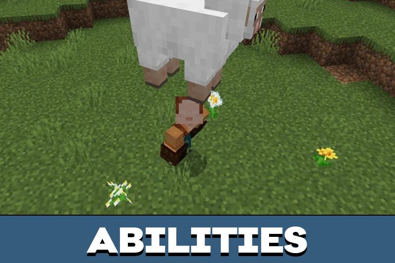 Carry Animals 2