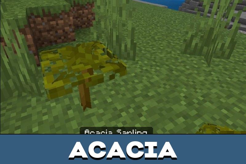 Better Saplings Texture Pack 2