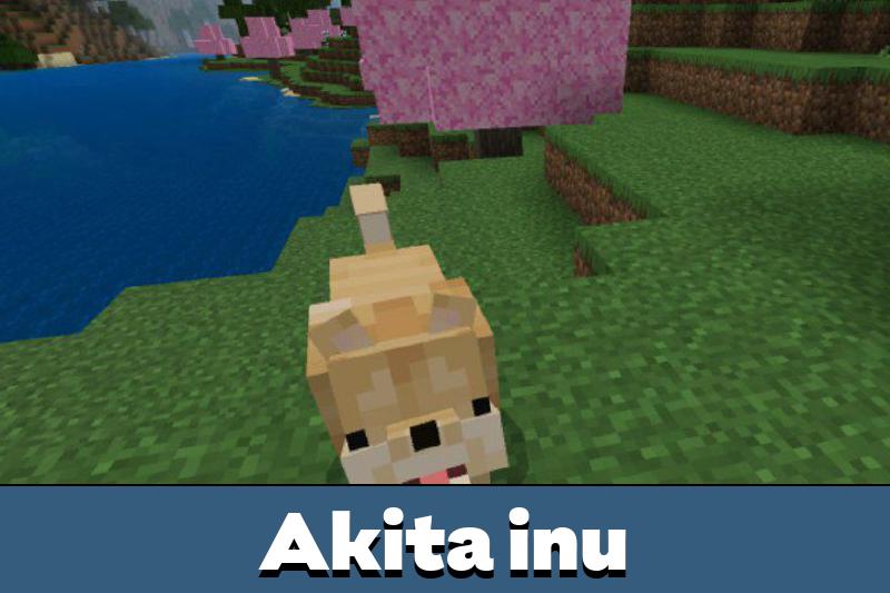 Japan 1