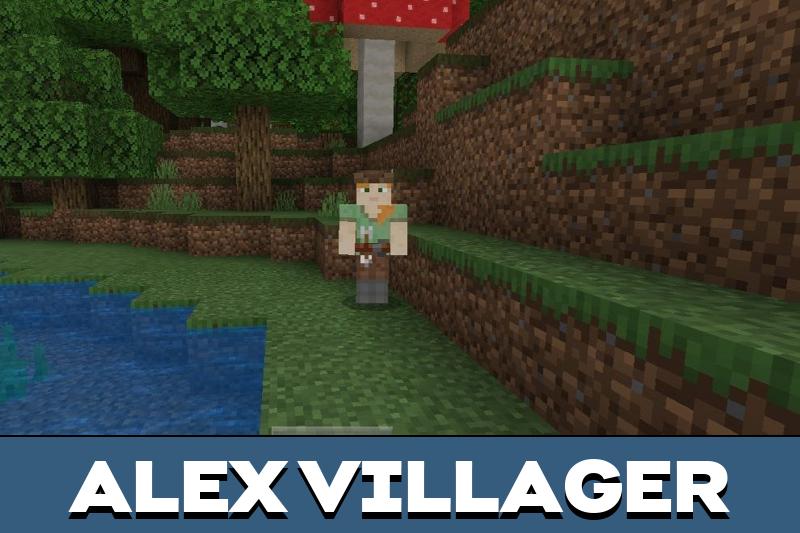 Villager Texture Pack 5