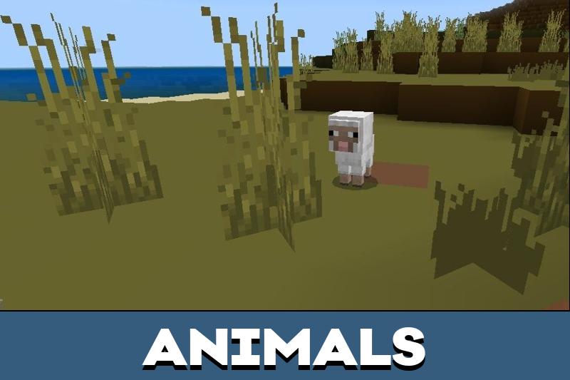 One Block Texture Pack 5