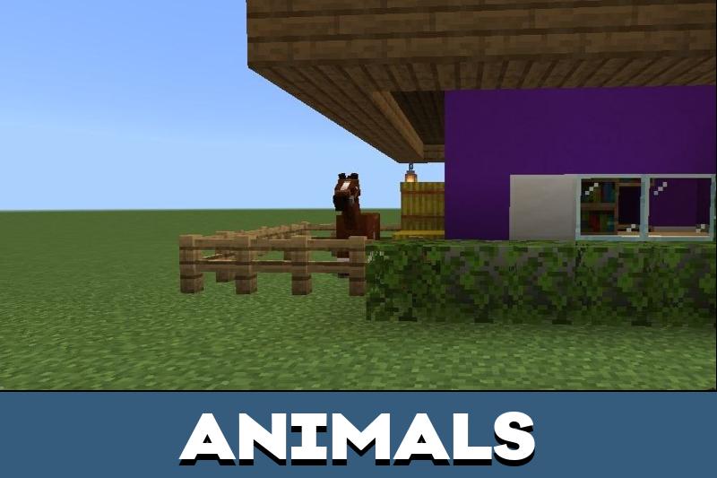 Aphmau Map 3