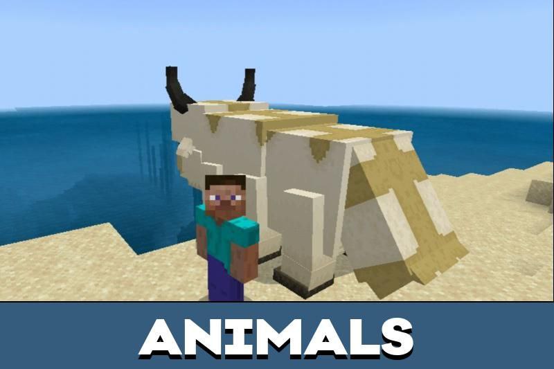 Avatar 4