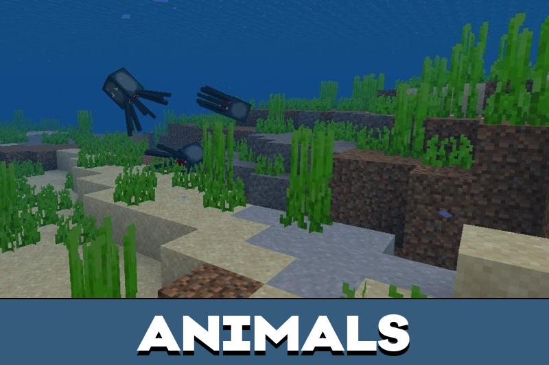 Endless Ocean 5