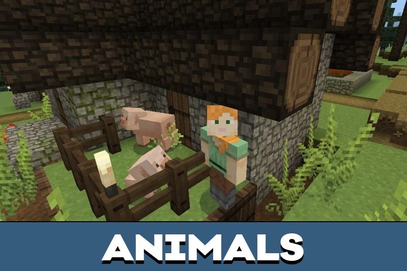 Medieval Texture Pack 5