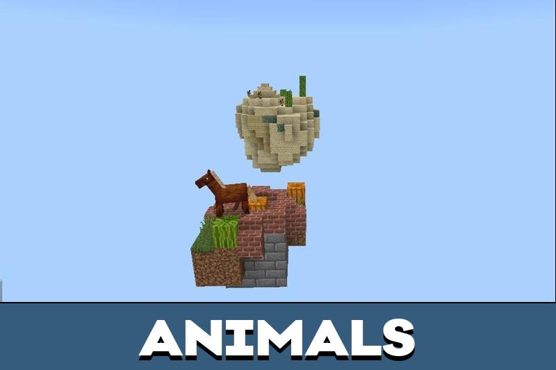 One Block Map 5