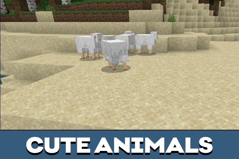 Sheep 5