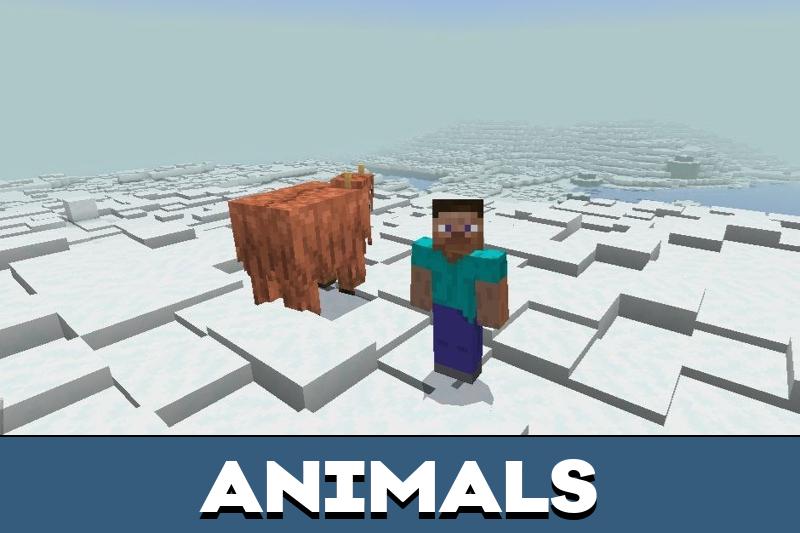 Survival Reworked 4