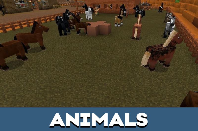 Wild West 3