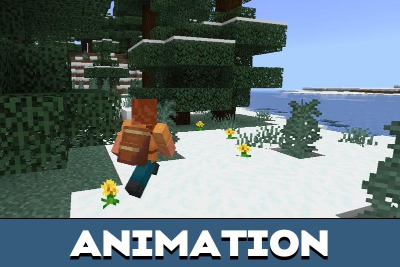 Bundlepack 3
