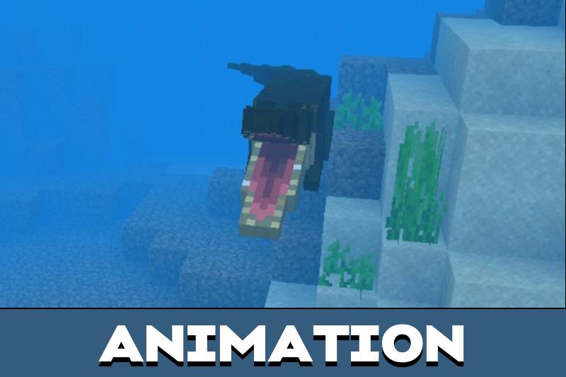 Crocodile 4