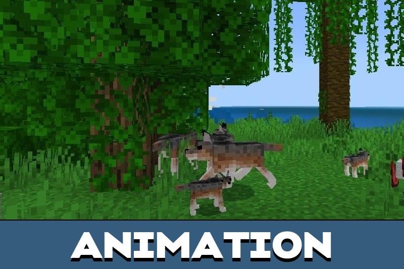 Dog Texture Pack 3