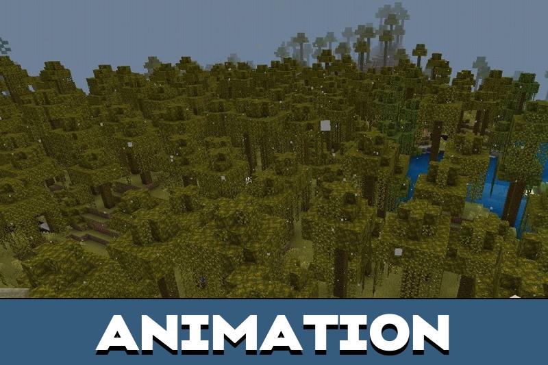 Swamp 5