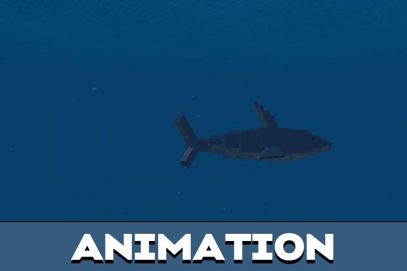 Whale 5
