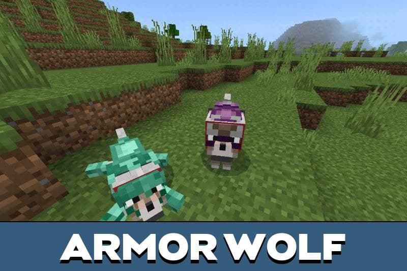 Wolf 3