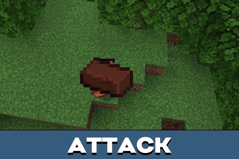 Brick 6
