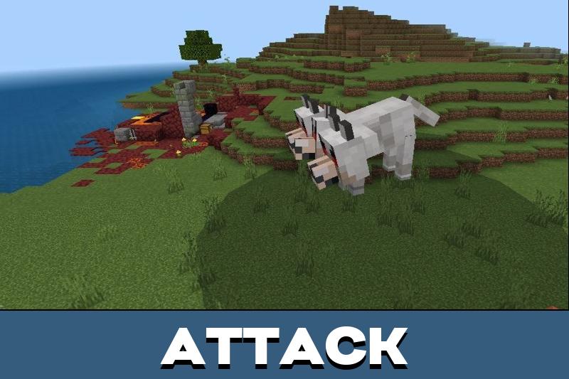 Cerberus 5