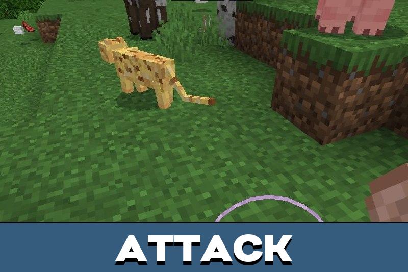 Better MobCap 5