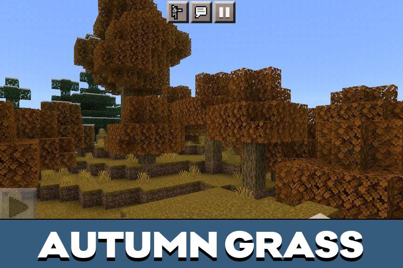 Grass Texture Pack 1