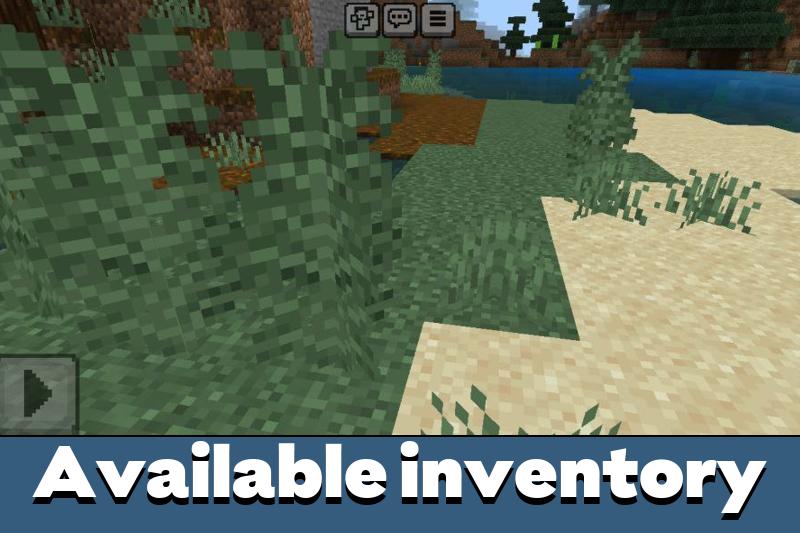 Inventory Viewer Texture Pack 5