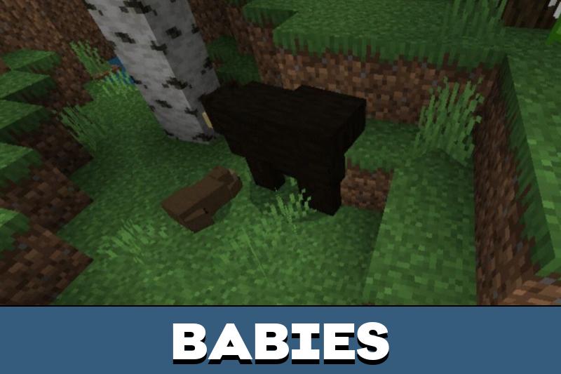 Bear 3