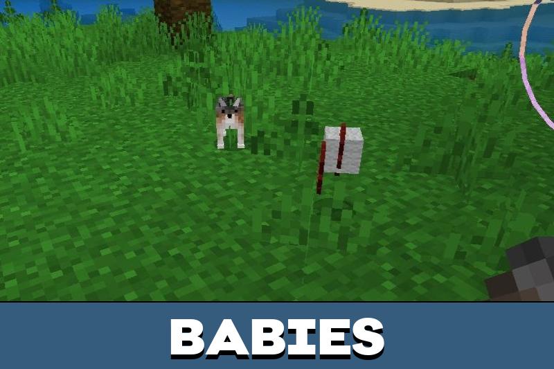 Dog Texture Pack 5