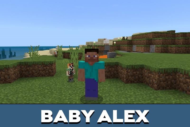 Alex 3