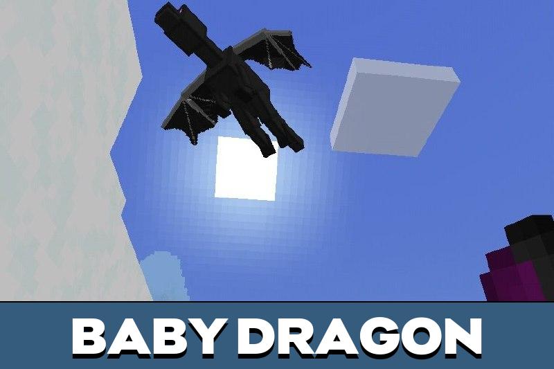 Ender Dragon 6