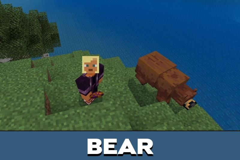 Safari Animals 5