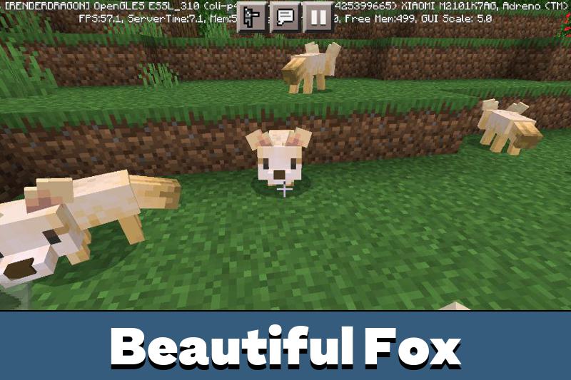 Fox 3
