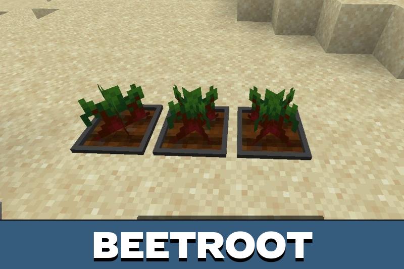 Bonsai 4