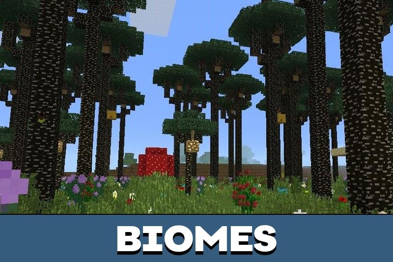 Twilight Forest 4