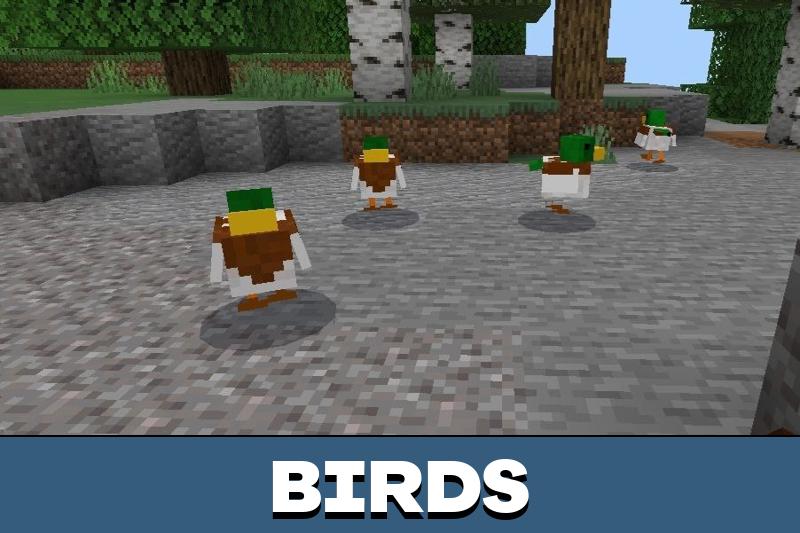 Duck 1