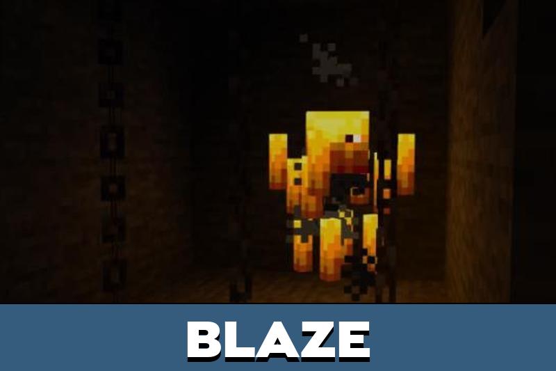 Torch 5