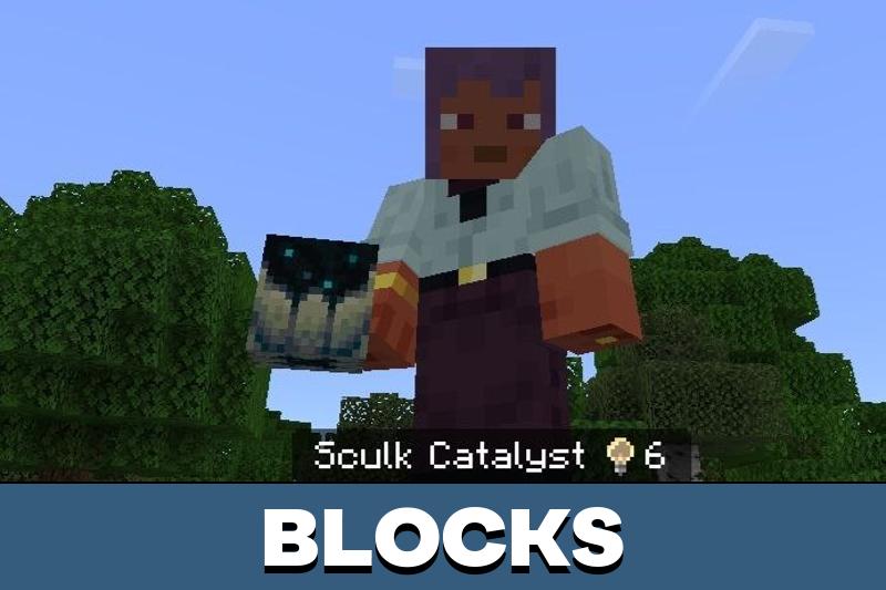 Item Info Texture Pack 5