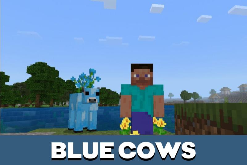 Cow 5