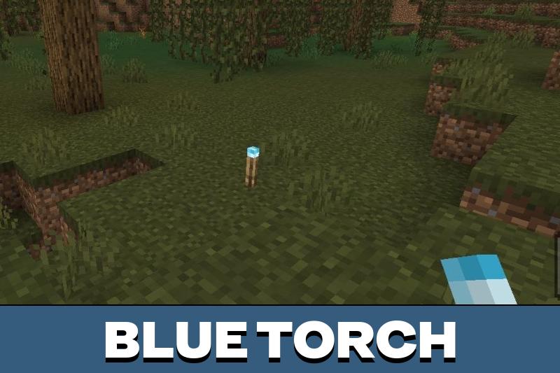Dynamic Torch 4