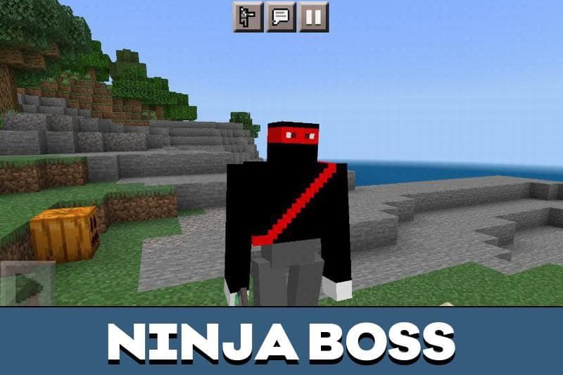 Ninja 5