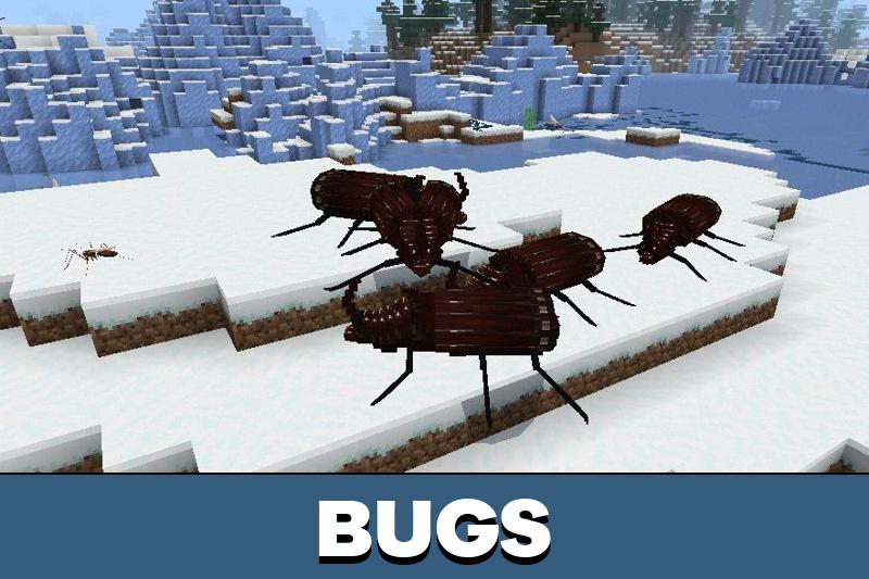 Star Insects 1
