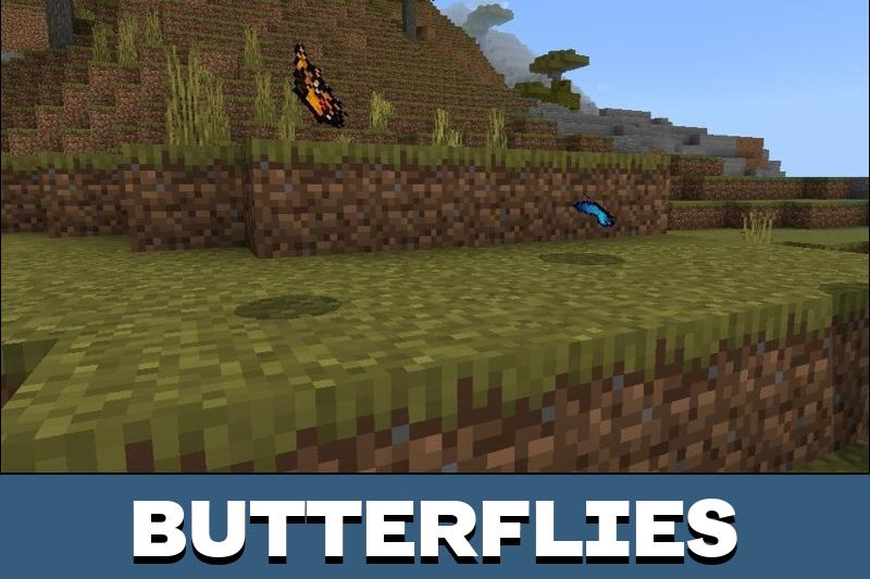 Bat Texture Pack 4