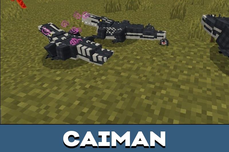 Mini Animals 4