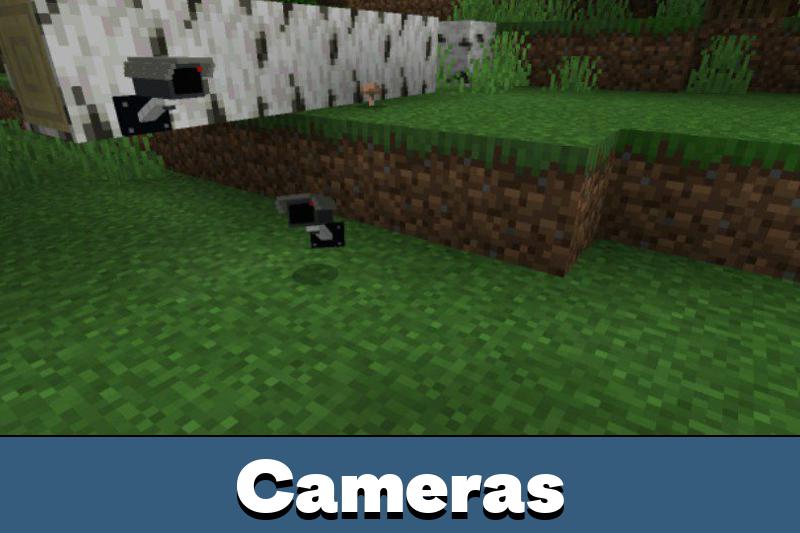 Camera 4