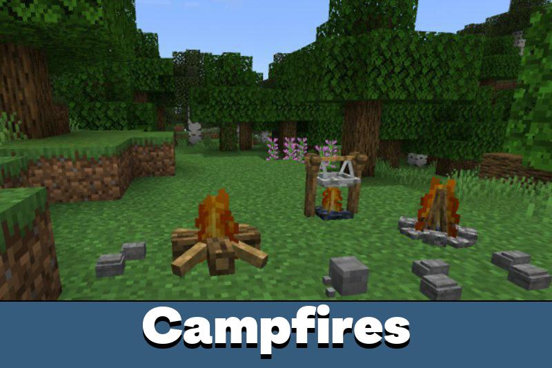 Camping 3