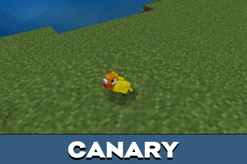 Bird 4