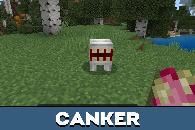 Carnage 2