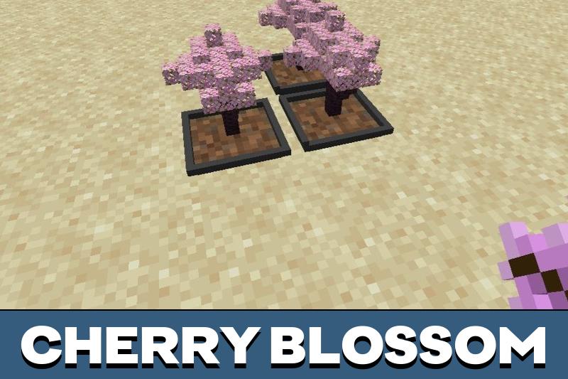 Bonsai 3