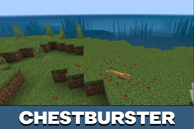 Xenocraft 5