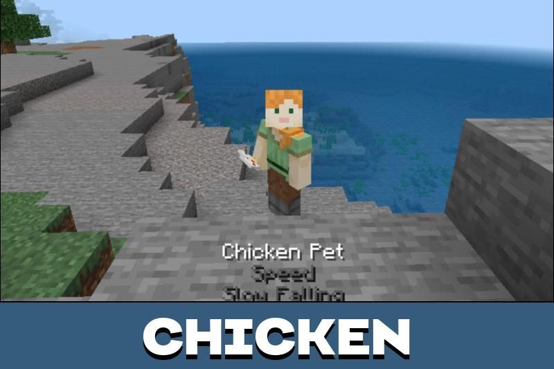 Pet 2